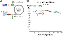 A schematic shows a hollow mid-IR fiber being used in isotope analysis (a). Sensing and delivery fibers can be customized depending on the wavelength needed for specific applications (b). A schematic shows a hollow mid-IR fiber being used in isotope analysis (a). Sensing and delivery fibers can be customized depending on the wavelength needed for specific applications (b).