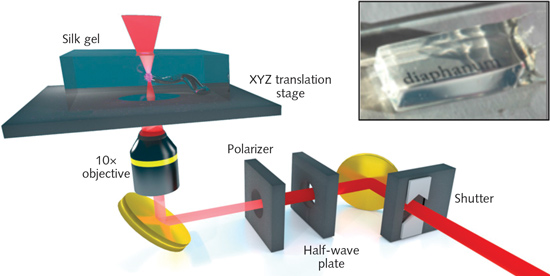 Content Dam Lfw Print Articles 2015 11 1511lfw Nb F4
