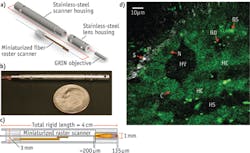 FIGURE 1. Three-millimeter OD raster scanning endoscope components and setup. (a) Mechanical assembly of the endoscope components; (b) photograph of the prototype; (c) optical path of the internal components of the distal end; and (d) unaveraged, unstained multiphoton endoscope image of in vivo rat liver located approximately 20 μm below organ surface. The pseudo-color image shows grey SHG signal (less than 405 nm) and green intrinsic fluorescent emission (420 to 690 nm). Visible are 20- to 30-μm-diameter hepatocytes with a dark, 5- to 10-μm-diameter nucleus (N) and bright surrounding cytoplasm (C), hepatic chords (HC) composed of chains of hepatocytes, and a hepatic sinusoid (HS)—the blood-filled space between hepatic chords, bile ductile (BD), bile salts (BS), septa (S)—a fine fibrillar connective tissue that covers the surface of the hepatocytes, and a hepatic venule (HV). FIGURE 1. Three-millimeter OD raster scanning endoscope components and setup. (a) Mechanical assembly of the endoscope components; (b) photograph of the prototype; (c) optical path of the internal components of the distal end; and (d) unaveraged, unstained multiphoton endoscope image of in vivo rat liver located approximately 20 μm below organ surface. The pseudo-color image shows grey SHG signal (less than 405 nm) and green intrinsic fluorescent emission (420 to 690 nm). Visible are 20- to 30-μm-diameter hepatocytes with a dark, 5- to 10-μm-diameter nucleus (N) and bright surrounding cytoplasm (C), hepatic chords (HC) composed of chains of hepatocytes, and a hepatic sinusoid (HS)—the blood-filled space between hepatic chords, bile ductile (BD), bile salts (BS), septa (S)—a fine fibrillar connective tissue that covers the surface of the hepatocytes, and a hepatic venule (HV).