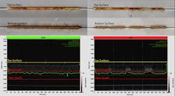 Figure7 Web Figure7 Web