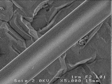 Fio Silk Fiber Image Web