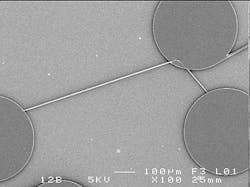 Fio Silk Fiber On A Chip Image Web Fio Silk Fiber On A Chip Image Web