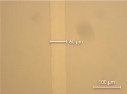 Ils 2011 11 Hellman 1 Ils 2011 11 Hellman 1