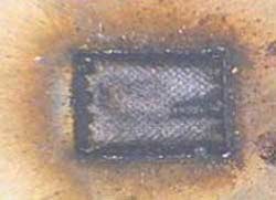 Ils 2012 2 Neam F10b Ils 2012 2 Neam F10b