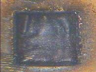 Ils 2012 2 Neam F10c Ils 2012 2 Neam F10c