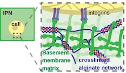 Image1 650 Web Image1 650 Web