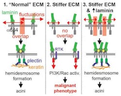 Image4 650 Web Image4 650 Web
