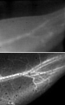 Imaging Duo Imaging Duo