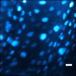 Laserscalpel3 Web Laserscalpel3 Web