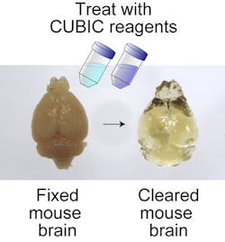 Mouse Comparison Pr Mouse Comparison Pr