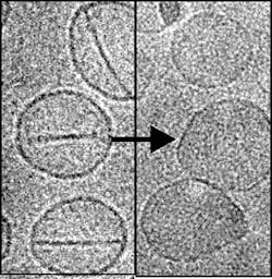 Nanoballoons 1 Nanoballoons 1