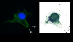 Nanolive 2 Web Nanolive 2 Web