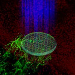 Original 2 Web Original 2 Web