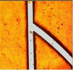 Pennwell web 150 145