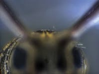 Pennwell web 200 150 Pennwell web 200 150