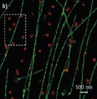 Pennwell web 200 205 Pennwell web 200 205