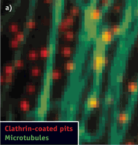 Pennwell web 200 210 Pennwell web 200 210