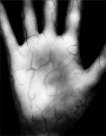 Pennwell web 210 268 Pennwell web 210 268