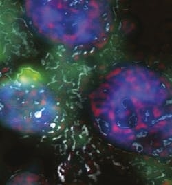 Pennwell web 250 269 Pennwell web 250 269