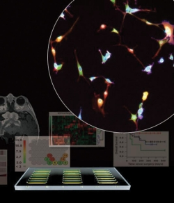 Pennwell web 250 292