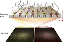 Pennwell web 257 173 Pennwell web 257 173