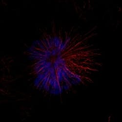 Pennwell web 257 257 Pennwell web 257 257