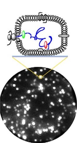 Pennwell web 257 478 Pennwell web 257 478