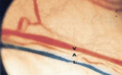 Pennwell web 282 175 Pennwell web 282 175