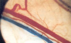 Pennwell web 285 175 Pennwell web 285 175