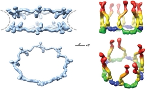 Pennwell web 300 175