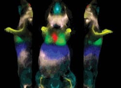 Pennwell web 300 220 Pennwell web 300 220