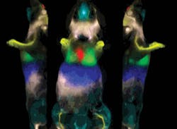 Pennwell web 300 220 Pennwell web 300 220