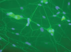 Pennwell web 300 222 Pennwell web 300 222