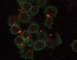 Pennwell web 300 233 Pennwell web 300 233