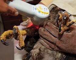 Pennwell web 300 240 Pennwell web 300 240