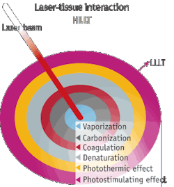 Pennwell web 300 323 Pennwell web 300 323