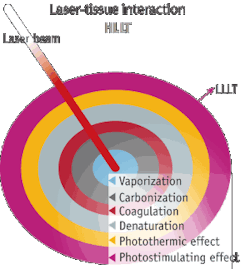 Pennwell web 300 323 Pennwell web 300 323