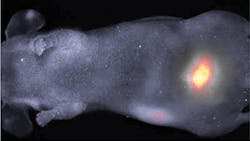 FIGURE 1. The width of the point-spread functions for interferometric synthetic aperture microscopy (ISAM) and optical coherence tomography (OCT) are shown as a function of distance from focus. FIGURE 1. The width of the point-spread functions for interferometric synthetic aperture microscopy (ISAM) and optical coherence tomography (OCT) are shown as a function of distance from focus.