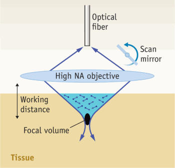 FIGURE 1. A single-axis confocal architecture uses a high-NA objective to excite and collect light from tissue.