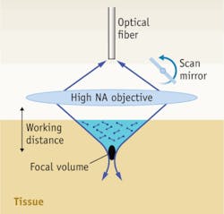 FIGURE 1. A single-axis confocal architecture uses a high-NA objective to excite and collect light from tissue. FIGURE 1. A single-axis confocal architecture uses a high-NA objective to excite and collect light from tissue.