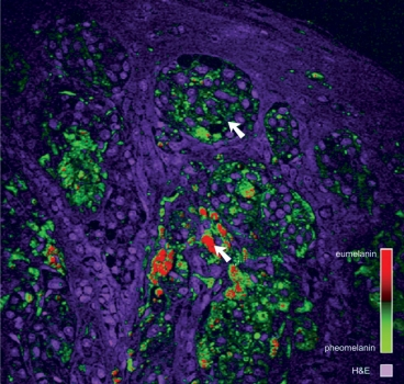 Pennwell web 368 350