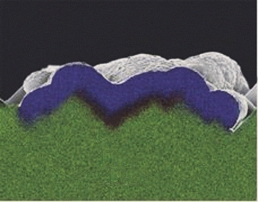 Pennwell web 375 294