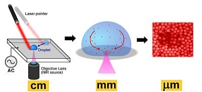 Pennwell web 400 183