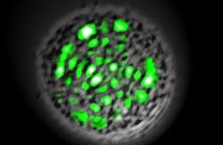 Pennwell web 400 260 Pennwell web 400 260