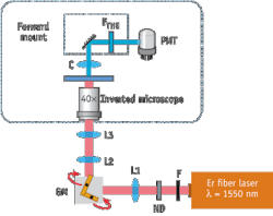 Pennwell web 400 317 Pennwell web 400 317
