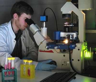 Steve Pawlizak, a post-graduate student in Professor Josef A, K&auml;s' group at the University of Leipzig, uses JPK Instruments' CellHesion 200 single cell force testing system.