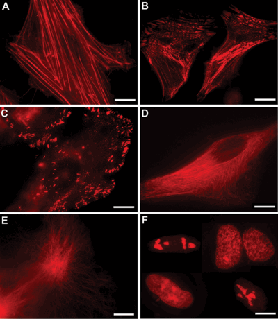 Pennwell web 400 460