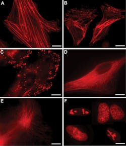 Pennwell web 400 460 Pennwell web 400 460