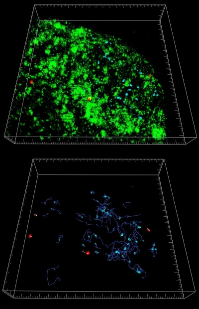 Pennwell web 400 620