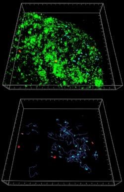 Pennwell web 400 620 Pennwell web 400 620